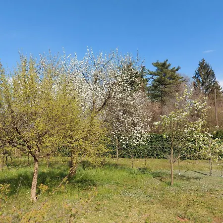 With Private Pool And Garden Villa