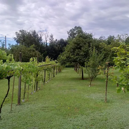 With Private Pool And Garden Villa Tradate