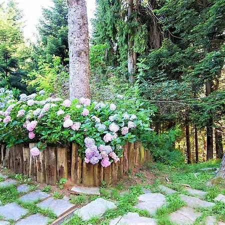 With Private Pool And Garden Villa Tradate